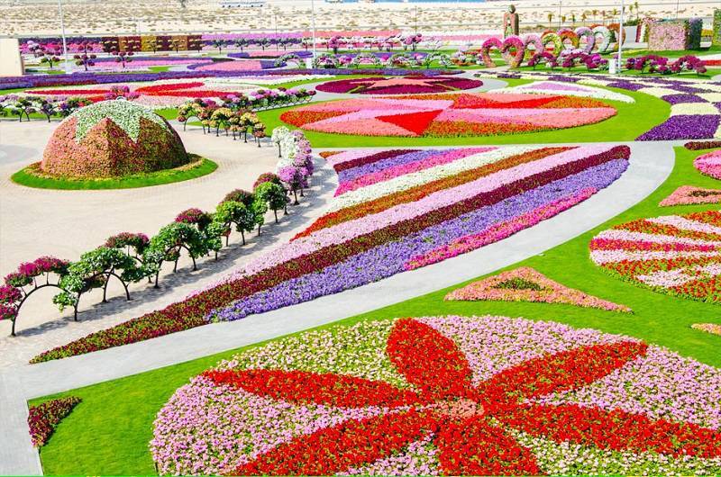 Dubai Miracle Gardens Around the World