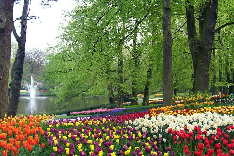 Colorful Garden Keukenhof