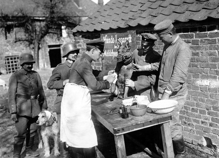 Military Personnel During The Flu Pandemic