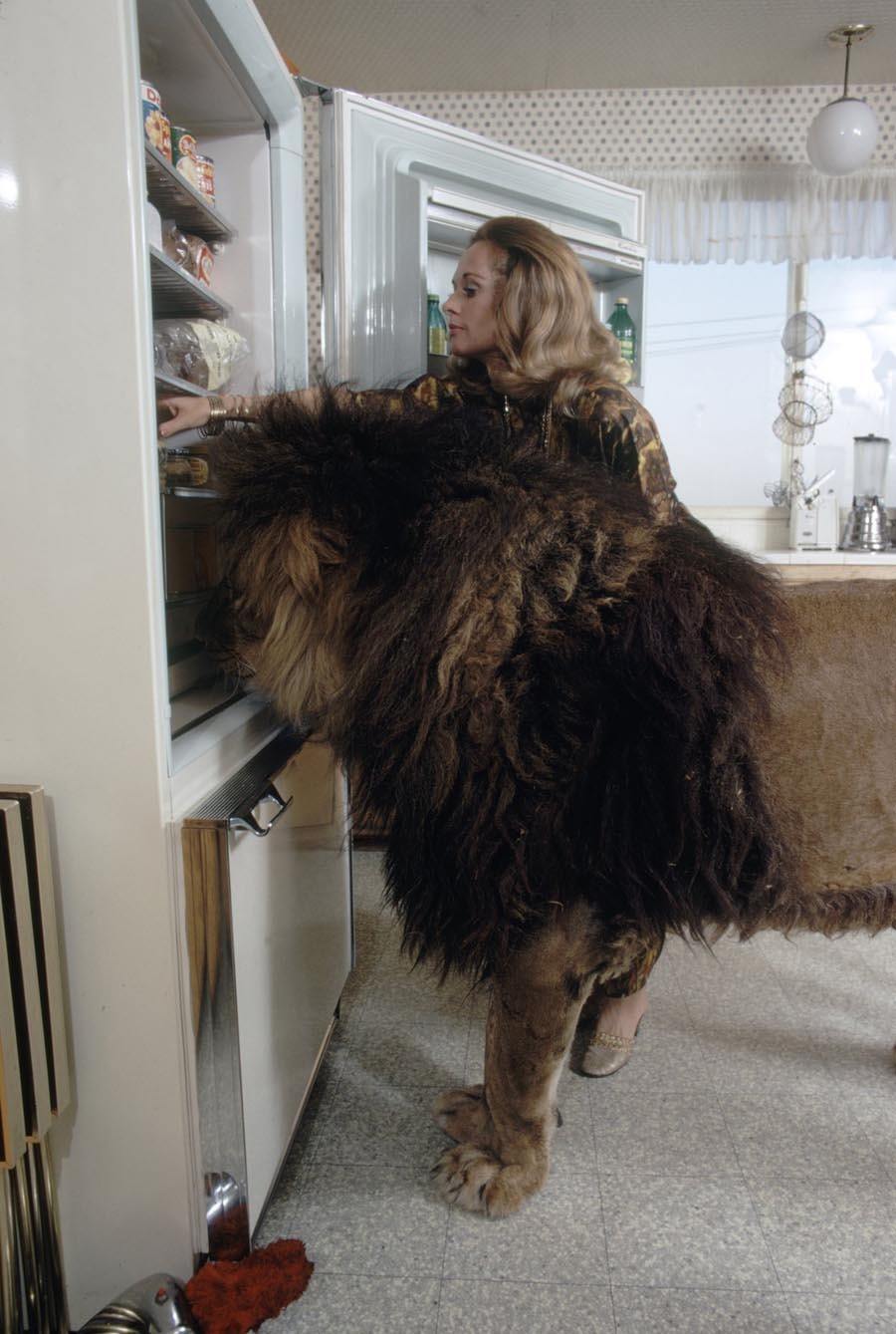 Pet Lions Tippi Hedren's Attempt To Bring The African Safari