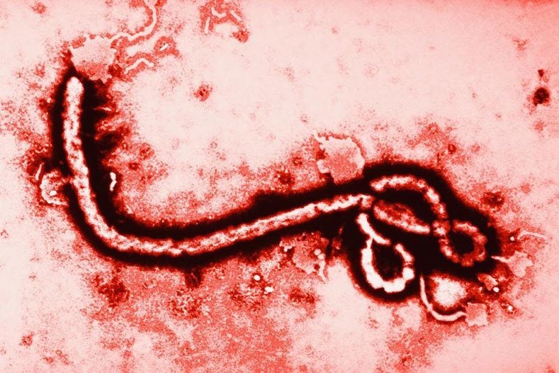 Alarming Diseases