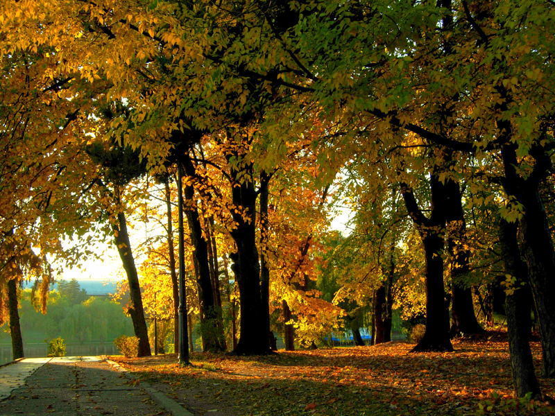 Bucharest Herastrau