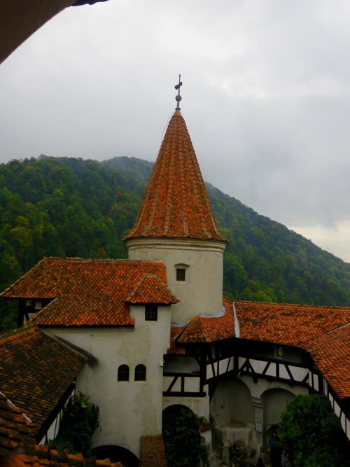 Dracula Castle View