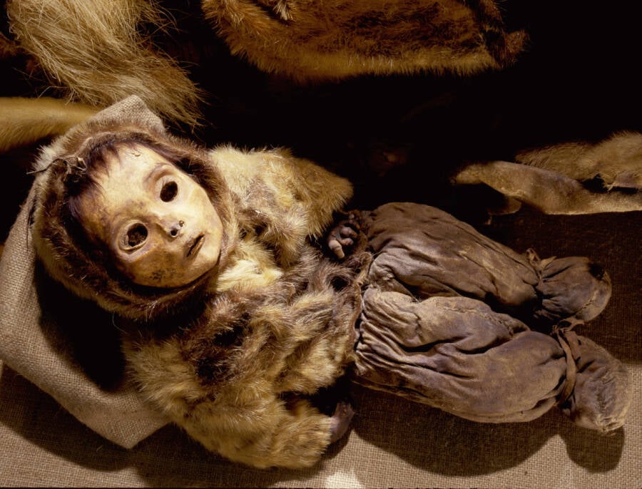 Mummified Child In Greenland