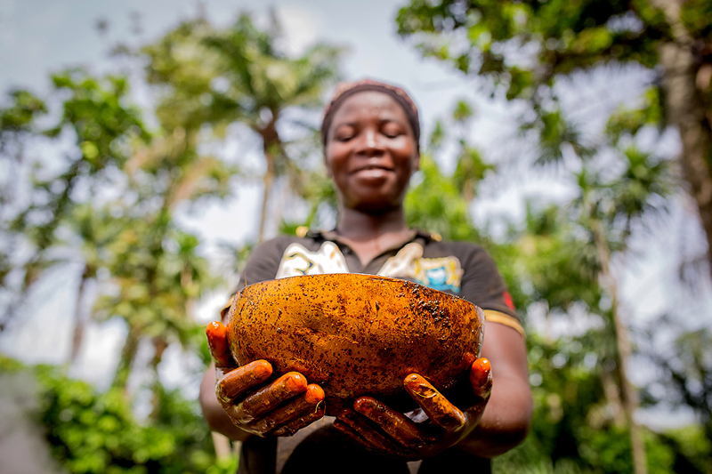 Nigeria Photo Festival Bowl