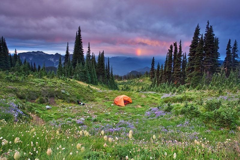 Camping at Mount Rainier