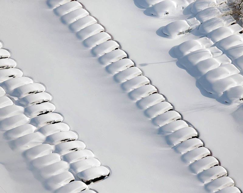 Buffalo Snow Cars