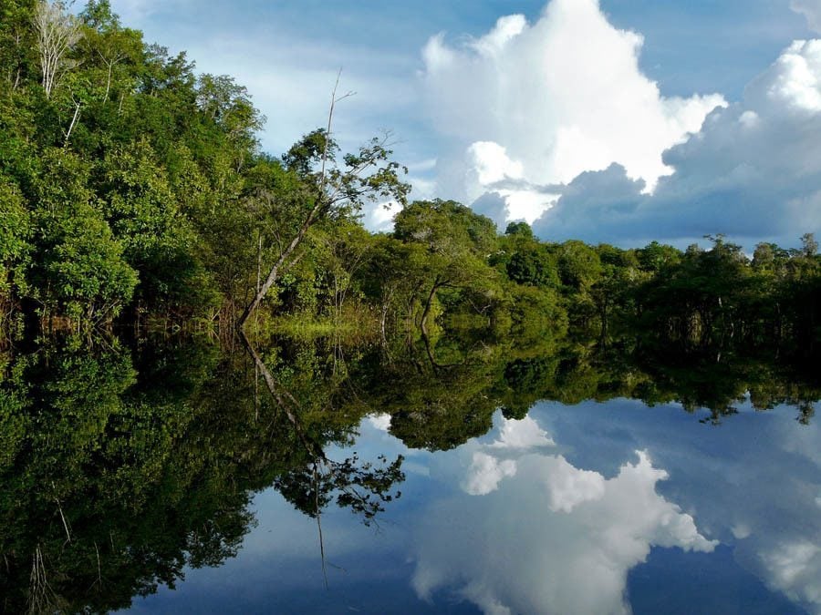 20 Alarming Photos Of The Disappearing Amazon Rainforest