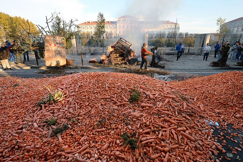 French Farmer Protests Carrots