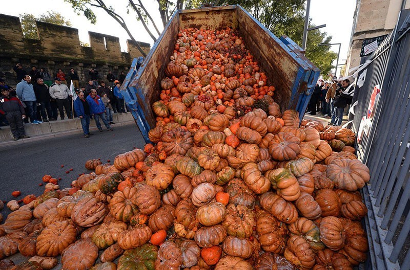 French Farmer Protests Gourds