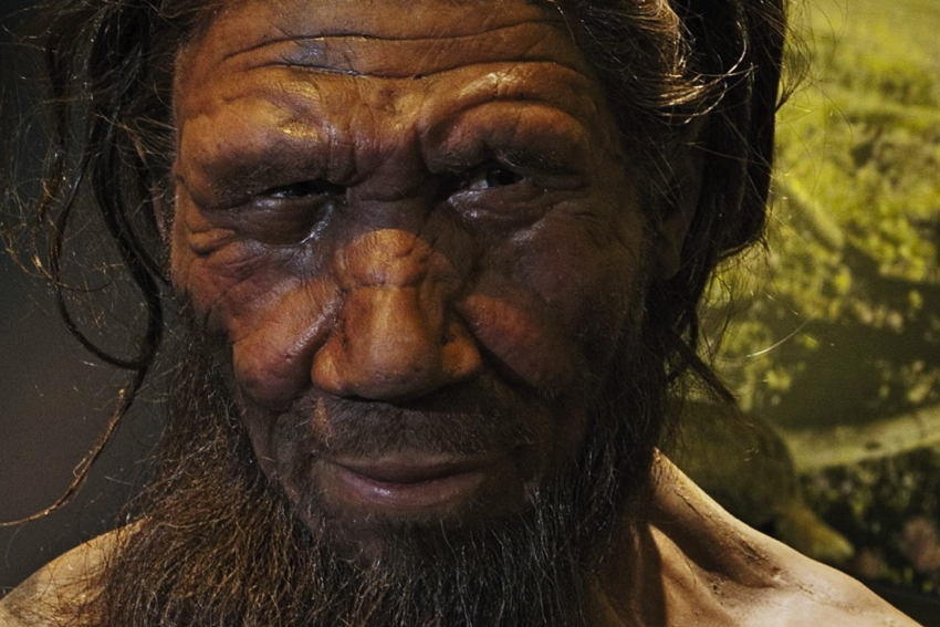 Human Neanderthal Relations Man