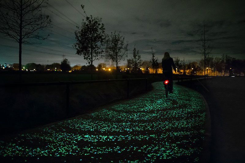 Bicyclist on Van Gogh Bike Path