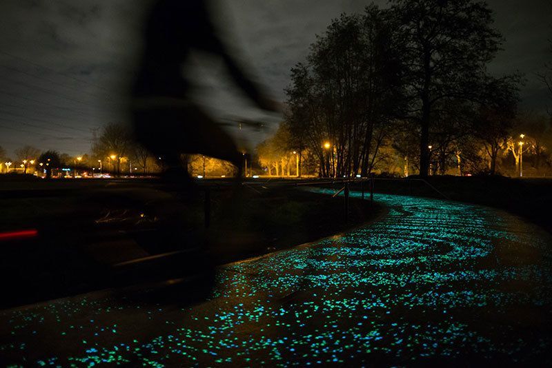 Illuminated Bike Path in Motion