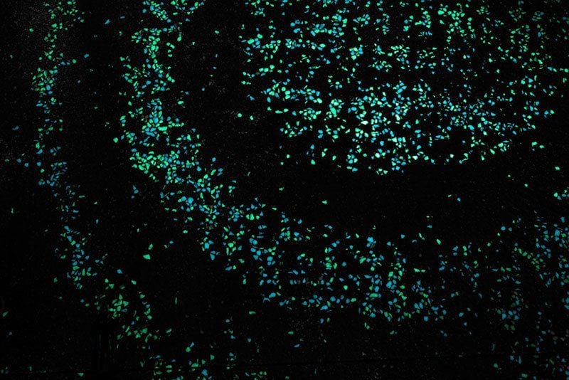 Illuminated Bike Path in the Netherlands