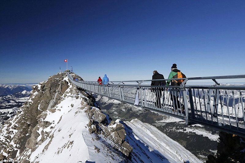Peak Walk Bridge