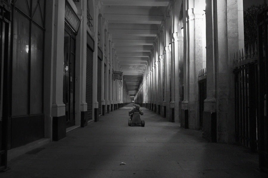 Monsters In Paris Shining