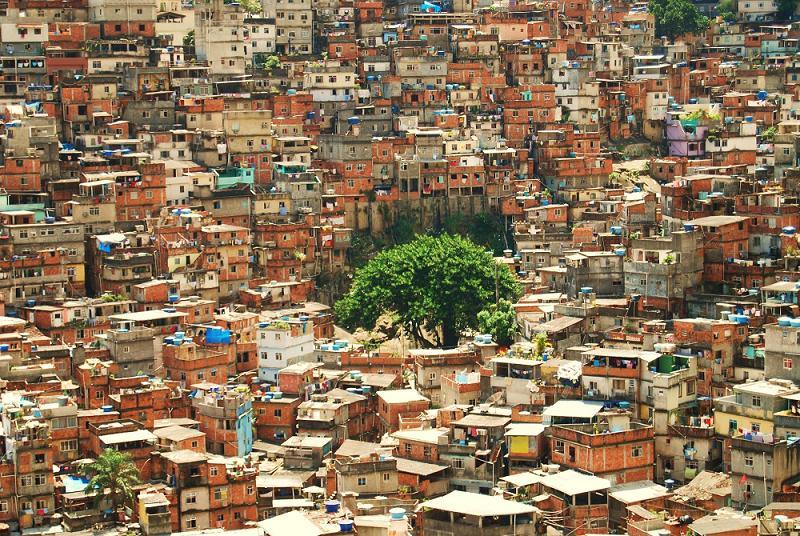 Favela Lone Tree