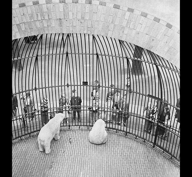 Berlin Zoo 1930s