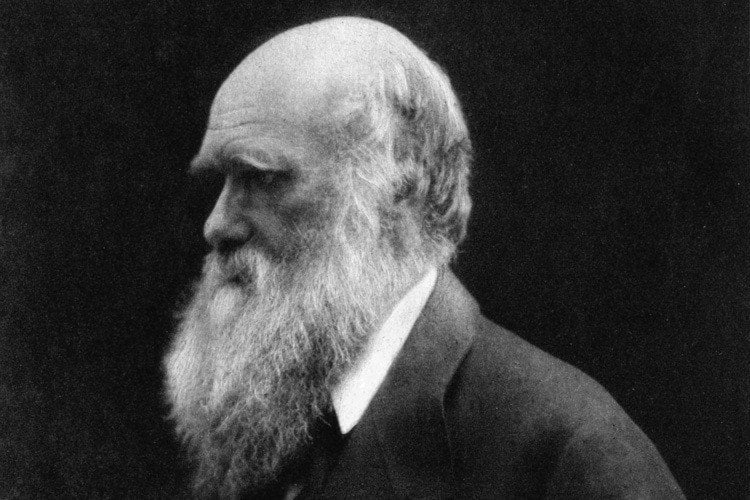 Charles Darwin Facts Portrait