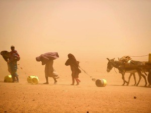 Climate Migrants Relocation