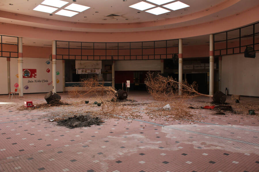 Inside America's Abandoned Malls, In 35 Haunting Photos