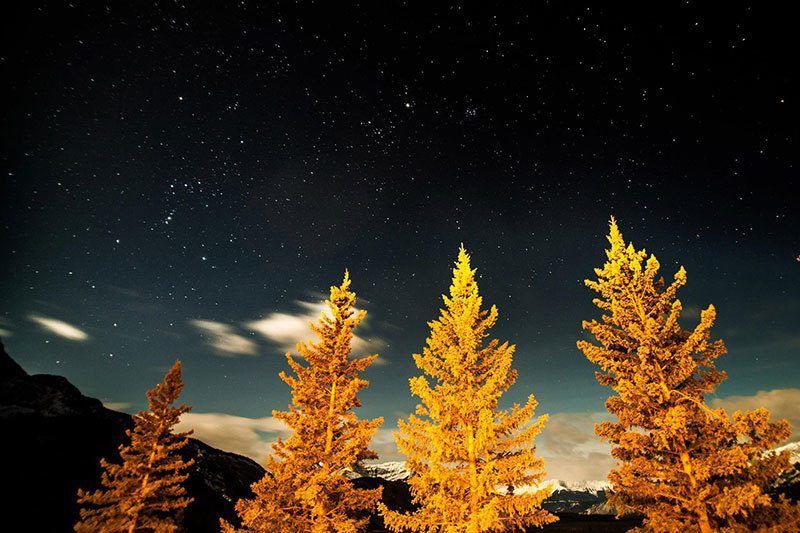 Evening at Jasper National Park