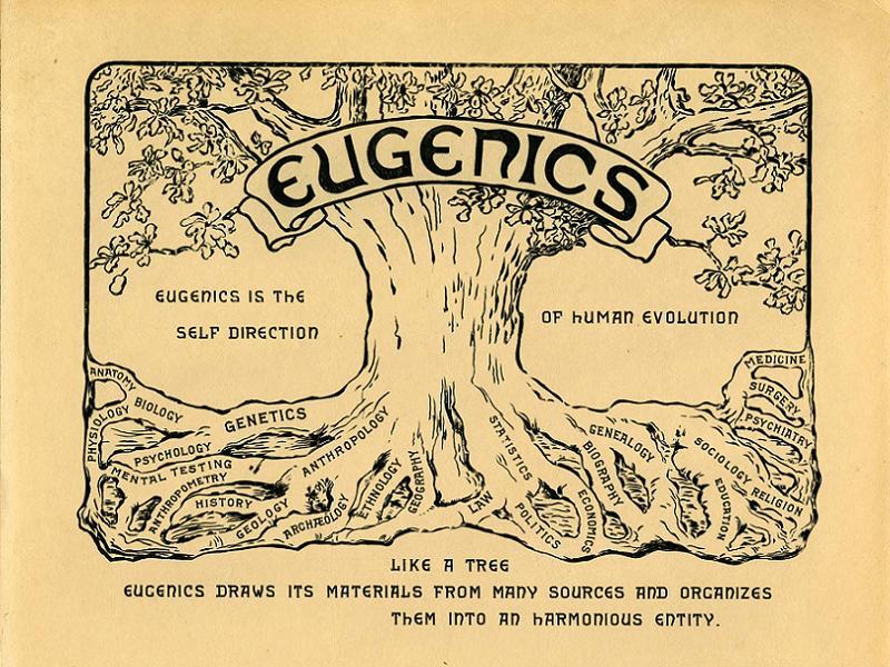 Mental Illness History Eugenics Tree
