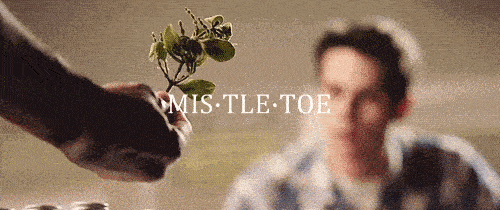 Mistletoe History
