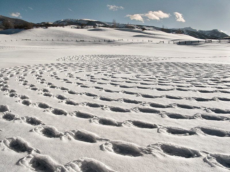 Snow Drawings Up Close