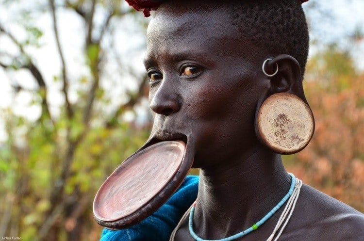 Tribal Traditions Lip Ear