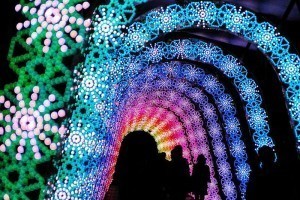 Japan Light Installation