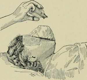 Midwife History Ether