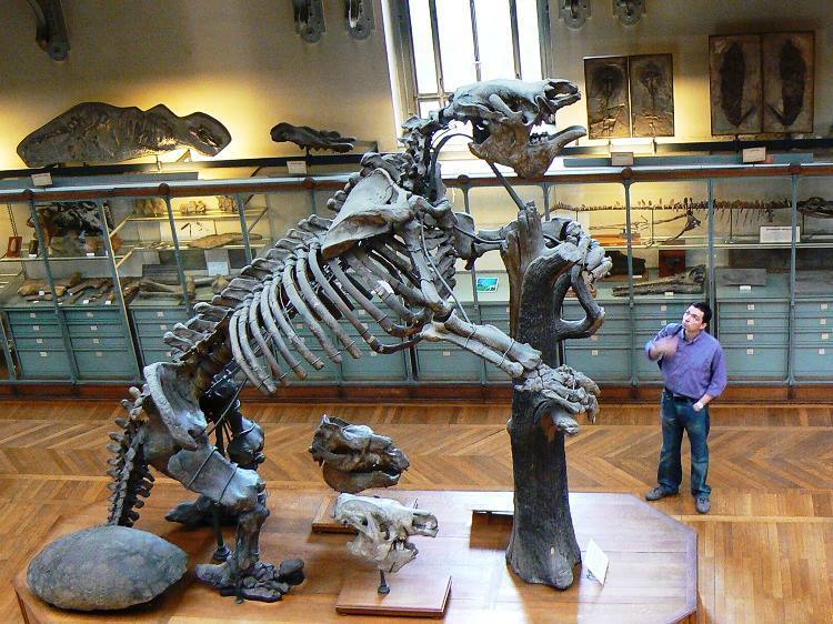 Megatherium