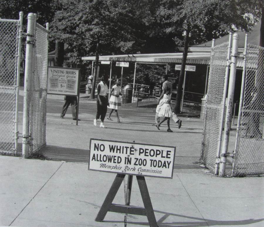 Web free tuesdays will not be held during the month of march. What Racial "Progress" Looked Like In 1959 Tennessee