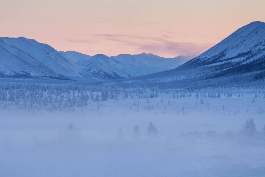 Icy Oymyakon Forests