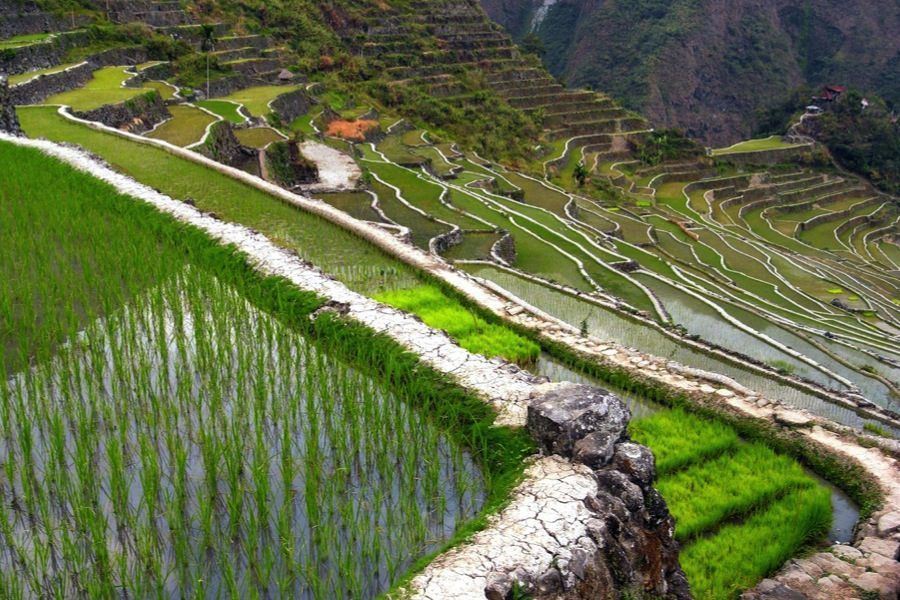 The Philippine Rice Terraces Are Absolute Paradise