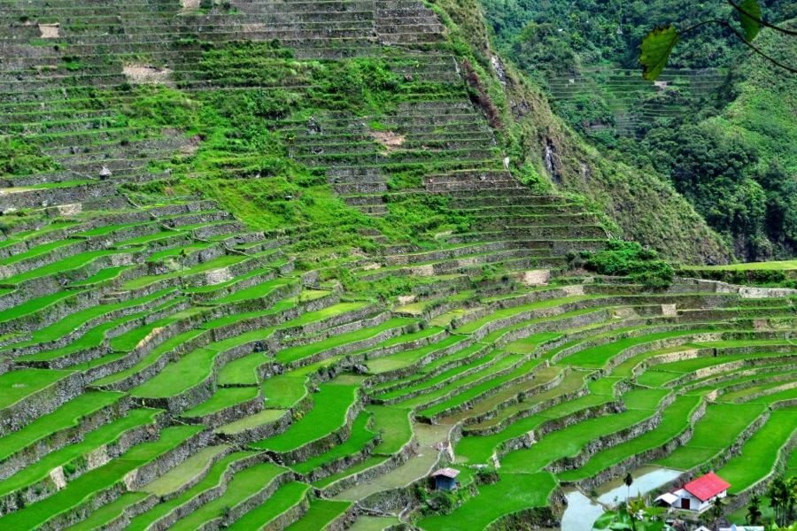 Rice Terraces Amphitehater