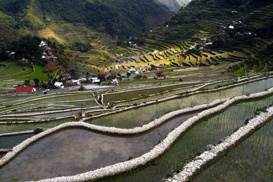 Rice Terraces Mud Walls