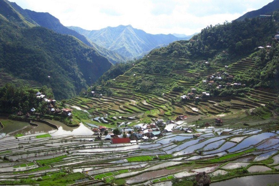 Rice Terraces World Heritage