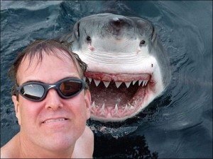 Shark Selfie