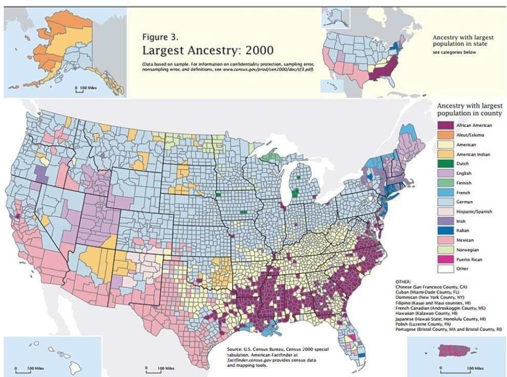 Ancestry In The United States