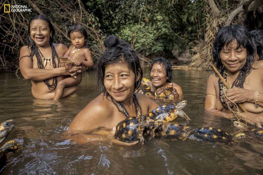 Awá Women With Tortoises
