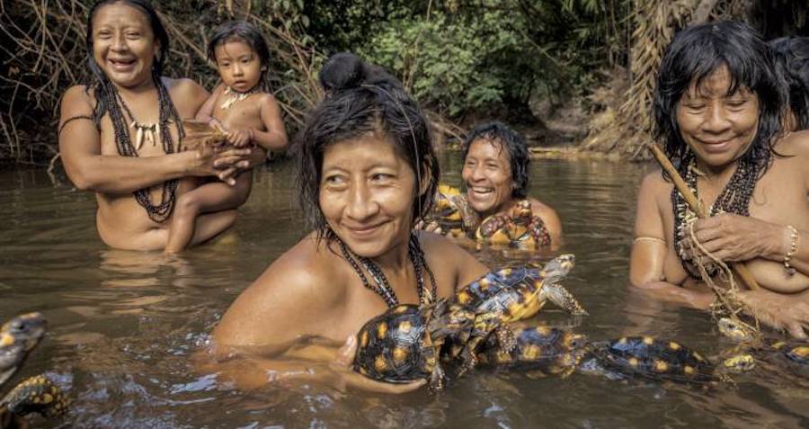Unlocking The Mysteries Of The Amazon S Aw Guaj Tribe