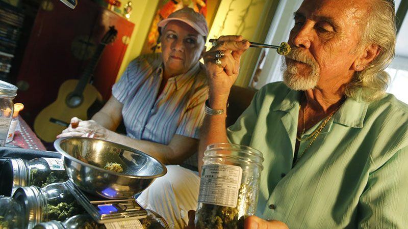 Cannabis Collective Owner