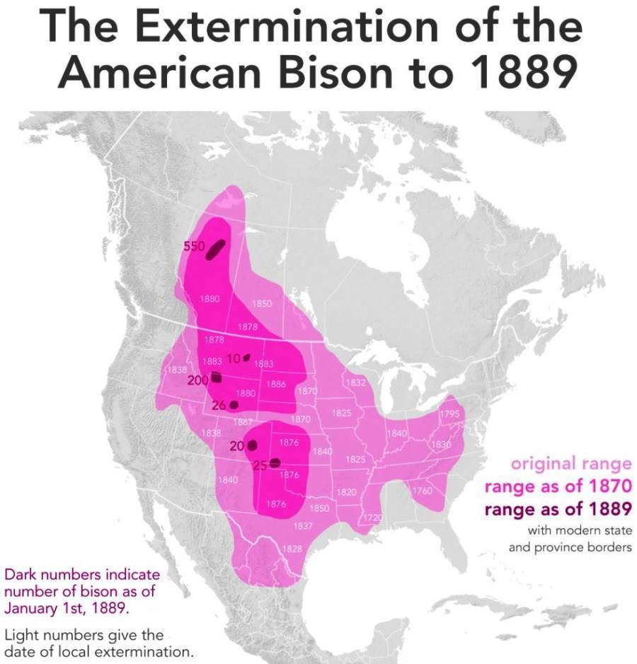 Extermination Of American Bison