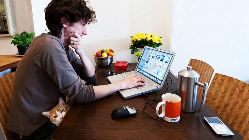 Freelancers Life Lady Cat