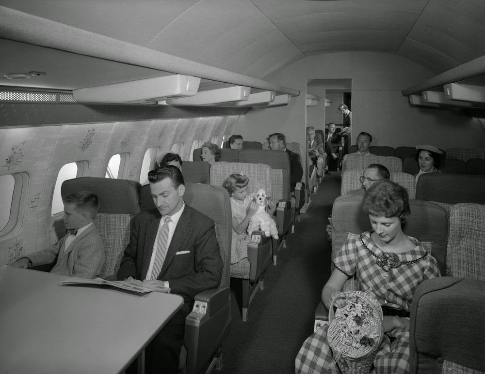 Golden Age Air Travel Puppy