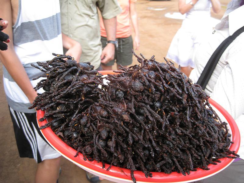 Gross Food Tarantula Platter