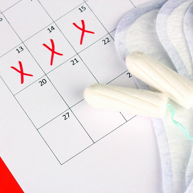 Menstruation History Calendar