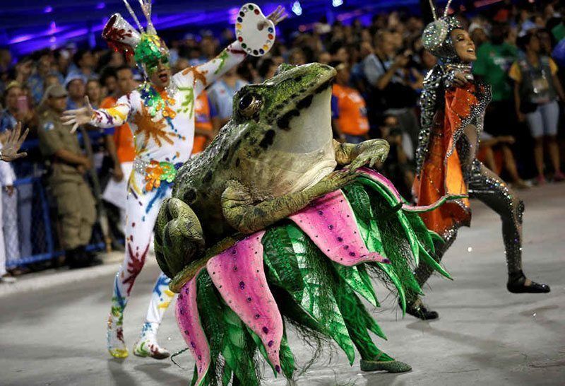 Carnival 2015 in Brazil